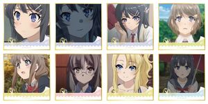 กล่องสุ่มการ์ตูนอนิเมะ Xinghe Rascals Doess Nots Dreams Ofs Bunnys <span class=keywords><strong>Girl</strong></span> <span class=keywords><strong>Senpai</strong></span> ซีรีส์ 3 จำนวน 40 กล่อง ขายส่ง พร้อมแผ่นชิกิชิขนาดเล็กสำหรับสะสม - Product Image 4