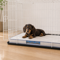 Gesteppte Silikon-Hundekäfigmatte mit Kühlender Blauer Einfassung, Rutschfester Basis & Sichtfenster für Welpentrainingskäfige