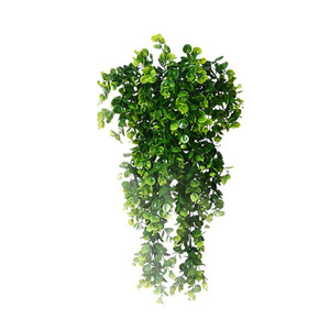 Artificial Round Leaf Eucalyptus Wall Hanging Vines 30cm-100cm High Simulation Indoor Decor <b>Plastic</b> <b>Plant</b> - Product Image 5