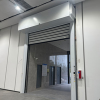 Porte rapide enroulable en aluminium à visière acrylique, étanchéité renforcée pour entrepôts frigorifiques et zones de chargement sécurisées