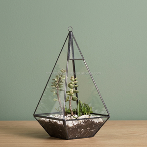 Terrario en forma de pirámide de Metal y vidrio - Product Image 2
