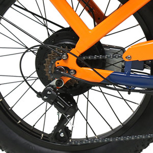 Vélo <span class=keywords><strong>cargo</strong></span> électrique TXED à prix de gros, moteur sans balais 36V/350W, frein à disque mécanique 7 vitesses, facile à conduire, idéal pour la livraison - Product Image 6
