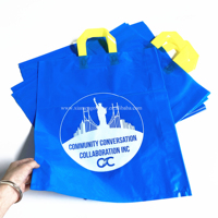 Eco-vriendelijke op maat gemaakte retail-shoppings tassen van plastic, groothandel, gestanst handvat met logo, handtasverpakking voor schoenen