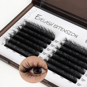 SP EYELASH 5D Wild Camellia Soft Easy Fan Extensions de <span class=keywords><strong>cils</strong></span> Sauvage Fluffy Messy 4D Ventilateurs multicouches Volume Lash Extensions Tray - Product Image 1