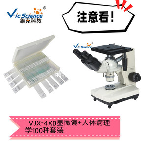 Microscope binoculaire métallographique VJX-4XB, analyseur métallographique, microscope métallographique pour inspection industrielle - Product Image 2