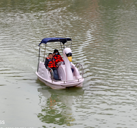 Bateaux à pédales en PE pour parc aquatique, bateaux à pédales en forme de cygne