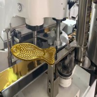 Machine d'emballage de chocolat en forme de pièce d'or de poisson, haute vitesse, automatique, sur mesure