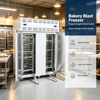 Grote fabrieksdubbele deur blastvriezer met plug tray type -60 ℃   Klantspecifieke snelvriezer voor de export van vis en schaal- en schelpdieren