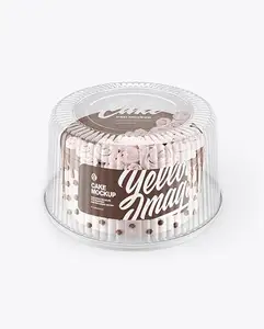 Wholesale Square Transparent Biscuit Box Durable Using Clear Rectangle Pastry Box Plastic Tiramisu Dessert Cake Box