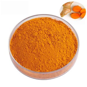 USP lớp kho số lượng lớn chất lượng cao hữu cơ bổ sung nghệ chiết xuất từ rễ Curcumin bột 95% - Product Image 2