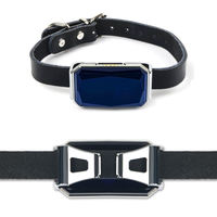 Traceur GPS pour animaux de compagnie, mini-collier étanche, anti-perte, avec suivi en temps réel via application intelligente et réseau mondial LBS