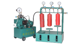 fire extinguisher check device