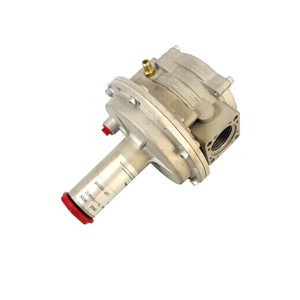 Régulateur de pression de gaz naturel GPL - Product Image 3