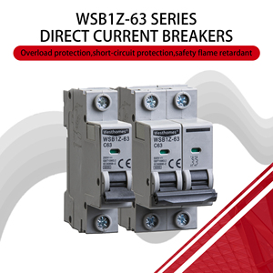 <span class=keywords><strong>Disjoncteur</strong></span> miniature Westhomes MCB 2P 6-63A 6kA IEC pour <span class=keywords><strong>protection</strong></span> de circuit, distribution <span class=keywords><strong>électrique</strong></span>, <span class=keywords><strong>disjoncteur</strong></span> miniature DC - Product Image 4