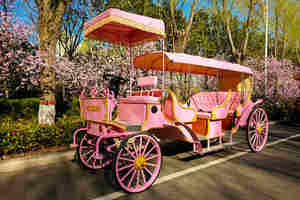 Charrette de princesse électrique pour visites touristiques, chariot de conte de fées Cendrillon pour mariages en plein air, festivals et défilés - Product Image 6