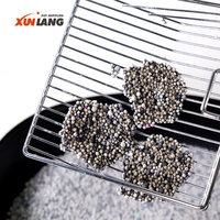 Nouvelle Offre : Litière pour Chat en Charbon Actif et Bentonite, Forme Bille 1-3.5mm, Faible Poussière, Contrôle des Odeurs, Haute Qualité, Vente en Gros Direct Usine