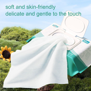 Mini toallita de bebé de algodón biodegradable secreta ecológica Etiqueta Privada toallitas húmedas no tejidas para pañales para glúteos Cleani - Product Image 6
