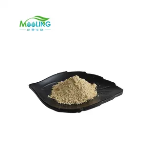 Wholesale bulk Natural Ursolic Loquat Leaf Extract Corosolic Acid from Loquat Leaf Extract Acid Ursolic Acid Powder 98% 50% 20%
