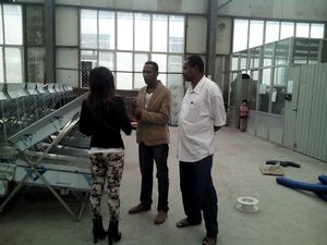 ケダサプライ 沖積金乾式ブロワー 金採掘装置 価格 - Product Image 6