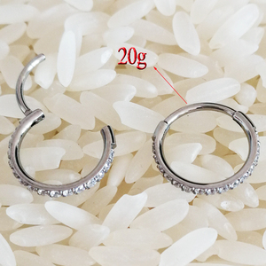 [SJ-651] สไตล์ที่ยอดเยี่ยม Gr23ไทเทเนียมขัดสูงบานพับเซมิคอนเนอร์ส่วนจมูกแหวนเจาะร่างกายเครื่องประดับ - Product Image 1