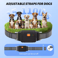 Traceur GPS 4G étanche Petop, nouveau modèle, avec télécommande, dispositif d'entraînement pour chiens, localisateur anti-perte 4G pour chiens et chats
