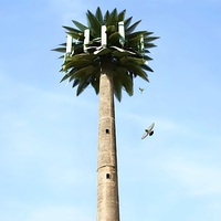 Torre de Telecomunicaciones Camuflada Tipo Árbol Biónico para 4G/5G, Mástil de Acero Galvanizado en Caliente con Tubo Redondo para Zonas Residenciales, Parques y Áreas Escénicas