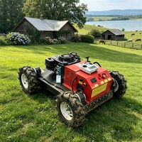 Tondeuse à gazon télécommandée sur chenilles 550 mm pour vergers et pentes, machine tout-terrain de désherbage et de tonte à distance CE EPA
