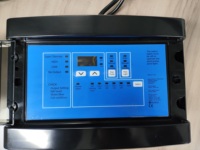 High Quality 20g/h Smarter Salt Chlorinator for Swimming Pools Manufacture Pool Filters Disinfection System