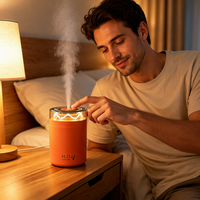 Humidificateur ultrasonique 300 ml USB Type-C avec lumière d'ambiance effet flamme tungstène, arrêt automatique, 2 modes de brume, diffuseur de brume froide CE FCC RoHS