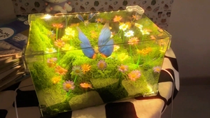 Caja de Regalo Divertida <span class=keywords><strong>para</strong></span> Cumpleaños de Novia, Creativa, con Mariposas de Primavera, Hecha a Mano, Luz Nocturna Pequeña de Madera, Color Personalizado, Moderna - Product Image 5