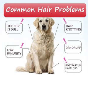 Compléments Nutritionnels à Croquer <span class=keywords><strong>pour</strong></span> Animaux : Soin Anti-Chute <span class=keywords><strong>de</strong></span> <span class=keywords><strong>Poil</strong></span>, Beauté et Santé <span class=keywords><strong>de</strong></span> la Peau et du Pelage – Friandises Tendres <span class=keywords><strong>pour</strong></span> Animaux - Product Image 2