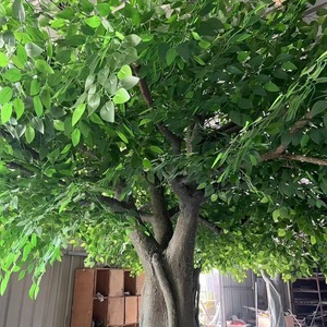 Chống Uv Tùy Chỉnh Ngoài Trời Chất Lượng Cao Lớn Nhân Tạo Ficus Banyan Cây Lớn Thực Tế Màu Xanh Lá Cây Nhà Máy Nguồn Cung Cấp - Product Image 6