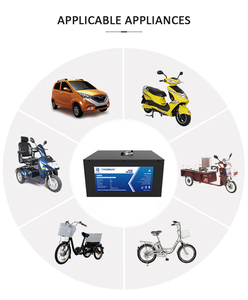 Batería de Litio Personalizada Tycorun Lifepo4 48v 60v 72v para Vehículos, Carros de Golf, Montacargas y Vehículos Eléctricos - Product Image 6