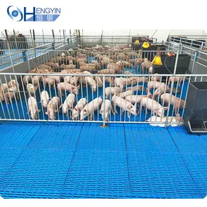 Bán Buôn Nhựa Pig Pen Sàn Sử Dụng Động Vật Để Bán Pig Farming Thiết Bị