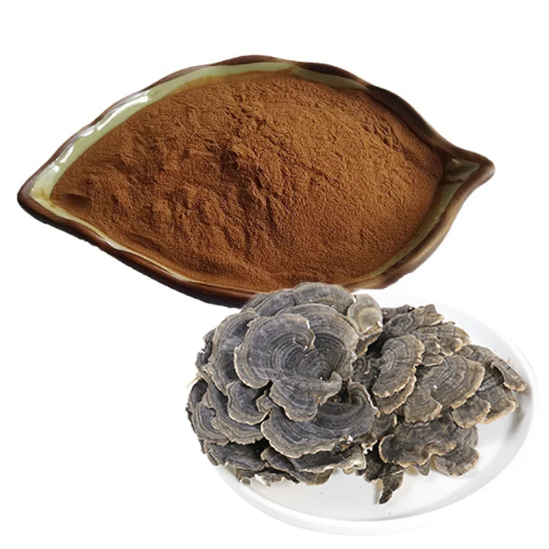 Turkey Tail Mushroom Extract Powder supplier Turkey Tail Mushroom Extract Powder supplier