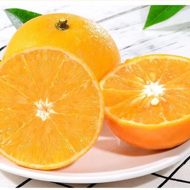 Mandarina ombligo naranja con precio bajo al por mayor cítricos dulces nueva cosecha OEM mandarín