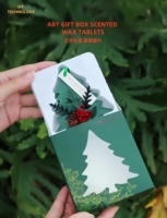 Pierre parfumée naturelle en forme de légume pour Noël, personnalisable, pour pendentif, maison, armoire ou voiture