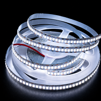 Nouvelle Offre 2026 : Bande LED SMD2835 12V/24V 14W 240 LED Blanches, 240 LED/m, 10mm Haute Densité, Adhésive, Coupable, IP20, Cuivre
