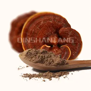 Suplemento chino de Lingzhi, polvo de extracto de hongo Ganoderma Lucidum, polvo de extracto de Reishi de hongo orgánico, al por mayor