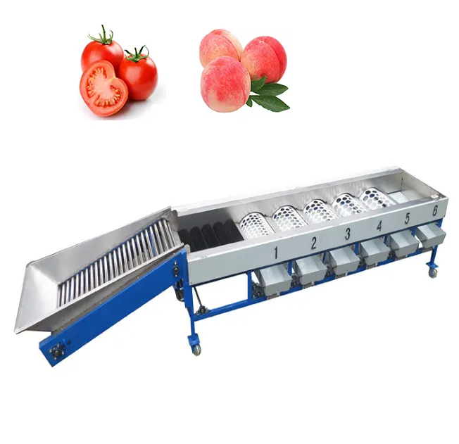 Máquina de clasificación automática de frutas y verduras, máquina de clasificación OEM para tomate, manzana, patata, coco, cebolla, ajo