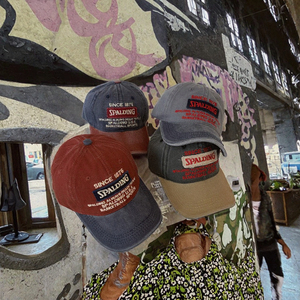 Gorra de Béisbol Personalizada de 6 Paneles, Estilo Hip Hop, con Bordado 3D de Leopardo, Vintage, Azul y Rosa, Visera Plana, Lavada e Impermeable - Product Image 3