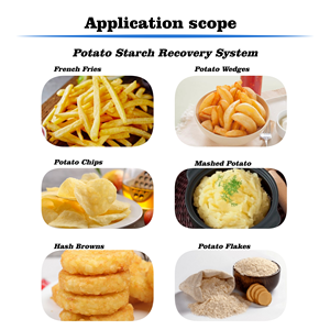 เครื่องแยกแป้งมันฝรั่งอุตสาหกรรมสำหรับโรงงานเฟรนช์ฟรายการรีไซเคิลเครื่องเก็บแป้งมันฝรั่งสำหรับเครื่องจักรแปรรูปทอด - Product Image 6