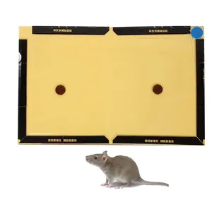 Pest control mouse lures Rat attractant sticky glue mouse rat trap