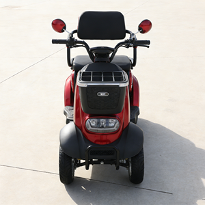 Scooter électrique à quatre roues, moteur 1000W stable et sûr, écologique et respectueux de l'environnement, version parent-enfant BOOM S2 - Product Image 1