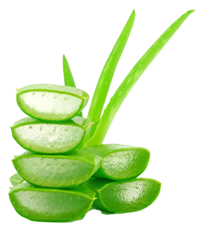 100% puro olio essenziale di Aloe Vera olio naturale estratto vegetale olio per la pelle del corpo e del viso cura OEM/ODM disponibile