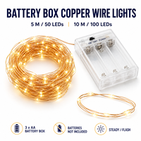 Guirlandes lumineuses à piles en fil de cuivre 5M 50 LED 10M 100 LED pour la décoration de mariage et de fête