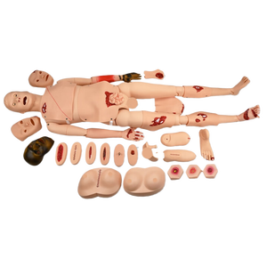 หุ่นจำลองพยาบาลสำหรับการดูแลผู้ป่วยบาดเจ็บแบบครบวงจร 3 จุด (แผลกดทับ 8 จุด รวมถึงแผลไฟไหม้บริเวณห<span class=keywords><strong>น</strong></span>้าอก) อวัยวะเพศชาย/หญิง - Product Image 6