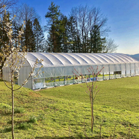 Serre tunnel agricole en acier galvanisé à chaud, à simple travée, sur mesure, avec film plastique PE/PO