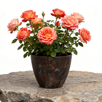 Pots de fleurs et jardinières modernes en plastique PP, durables, écologiques, légers et électro-plaqués pour la maison, le balcon et le jardin
