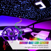 Kit de fibres optiques mixtes RVBW bicolores à double trou pour plafond de voiture effet ciel étoilé